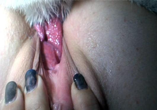 Dog Dick In Pussy