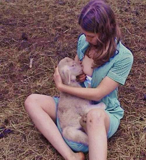 Nursing her lamb