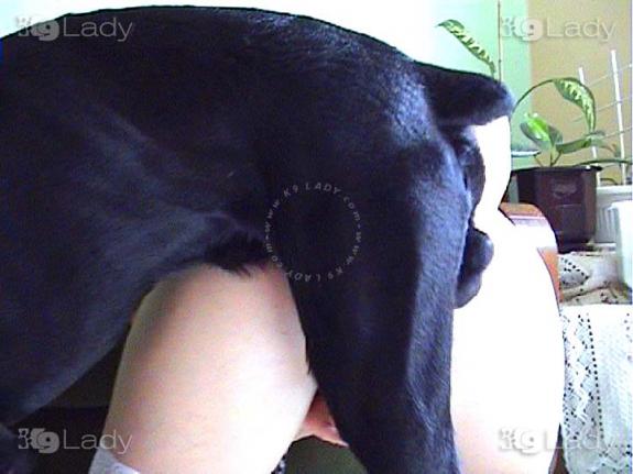 K9lady-Love from behind