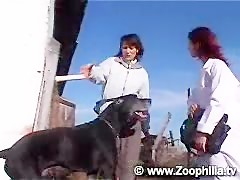 Rubia perra de su mascota - Videos de Zoofilia_(new)