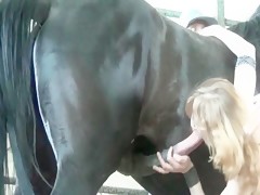 Hungarian girl and horse cum